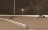 05-suprs_nc-swing-r4_concord_11032016_020